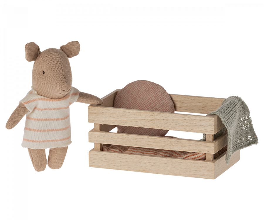 Baby Pig in Box