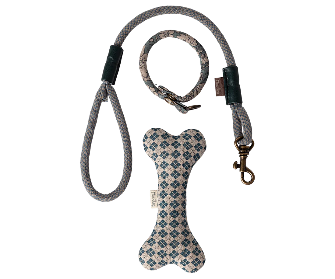 Puppy Accessories in Suitcase