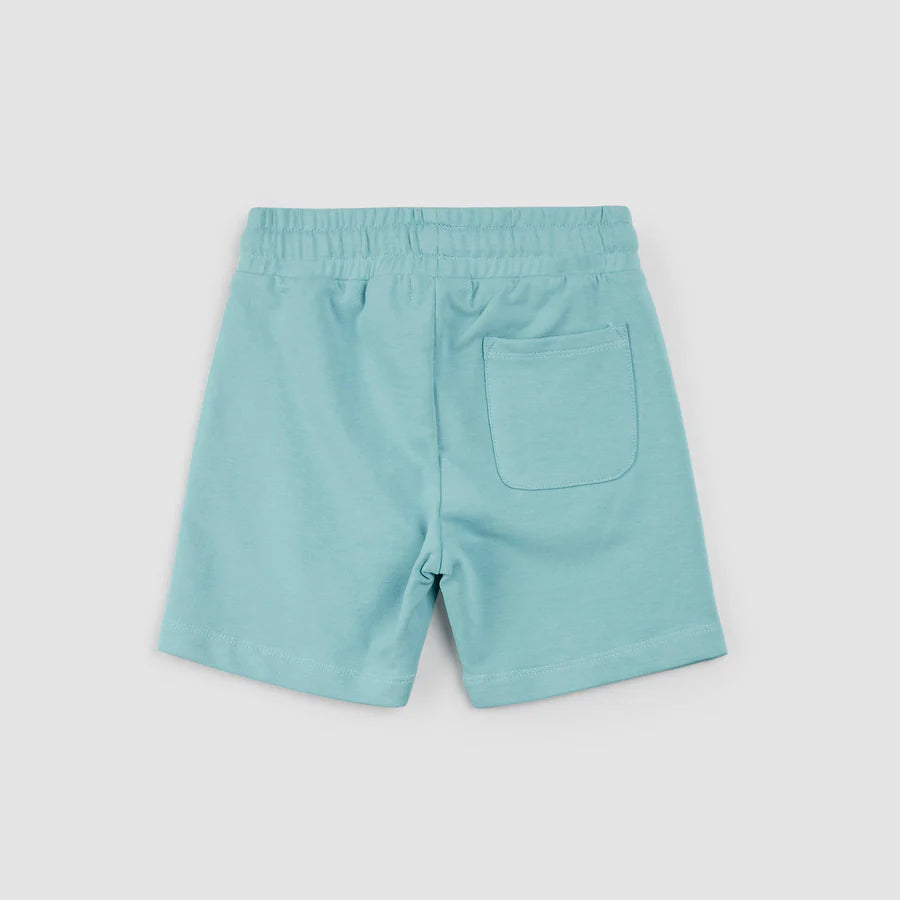 Reef Terry Shorts - Turquoise