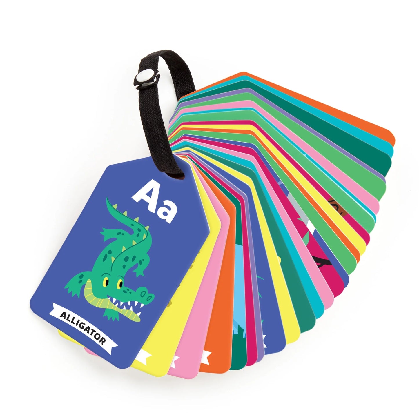 Ring Flash Cards - Mudpuppy