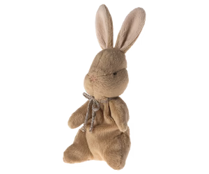 My First Bunny-Brown