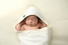 Classic Hooded Towel