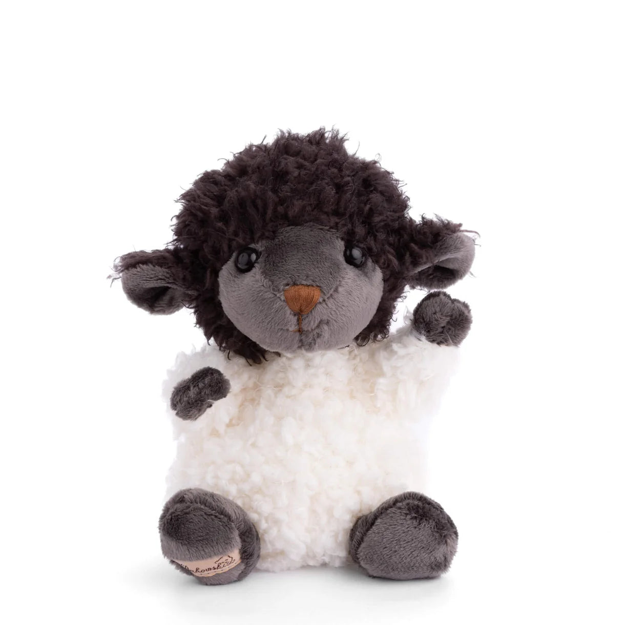 Baby Black Sheep