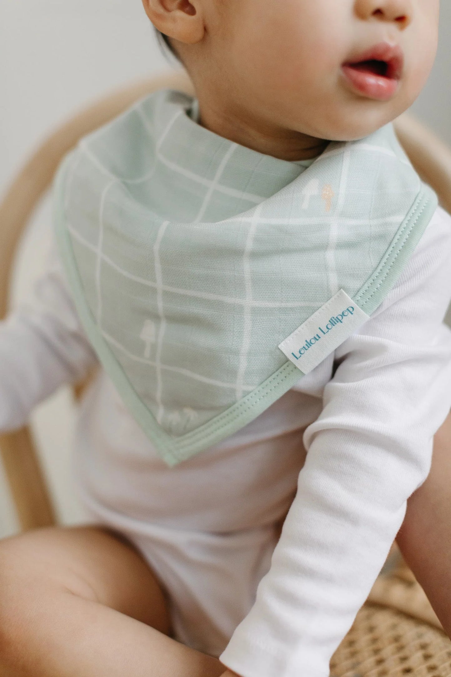 Bandana Bib Set - hedgehog