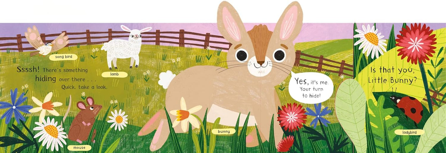 Where Is Little Bunny?