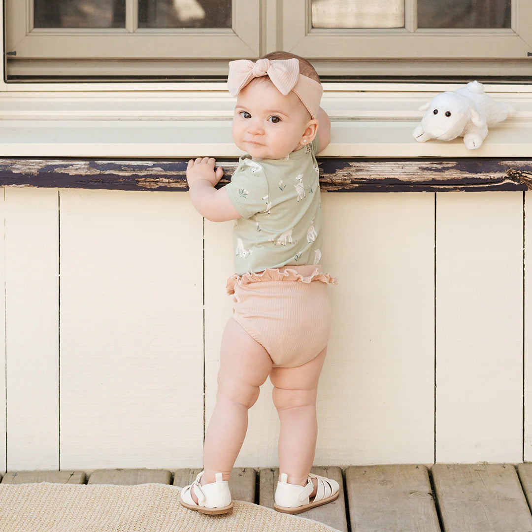 Little Lambs 3pc Bodysuit Set