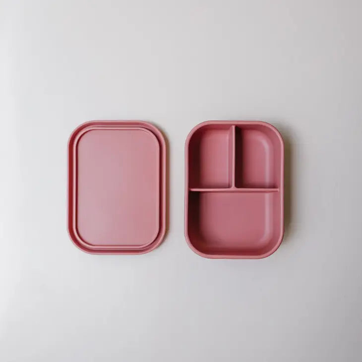 Bento Lunch Box