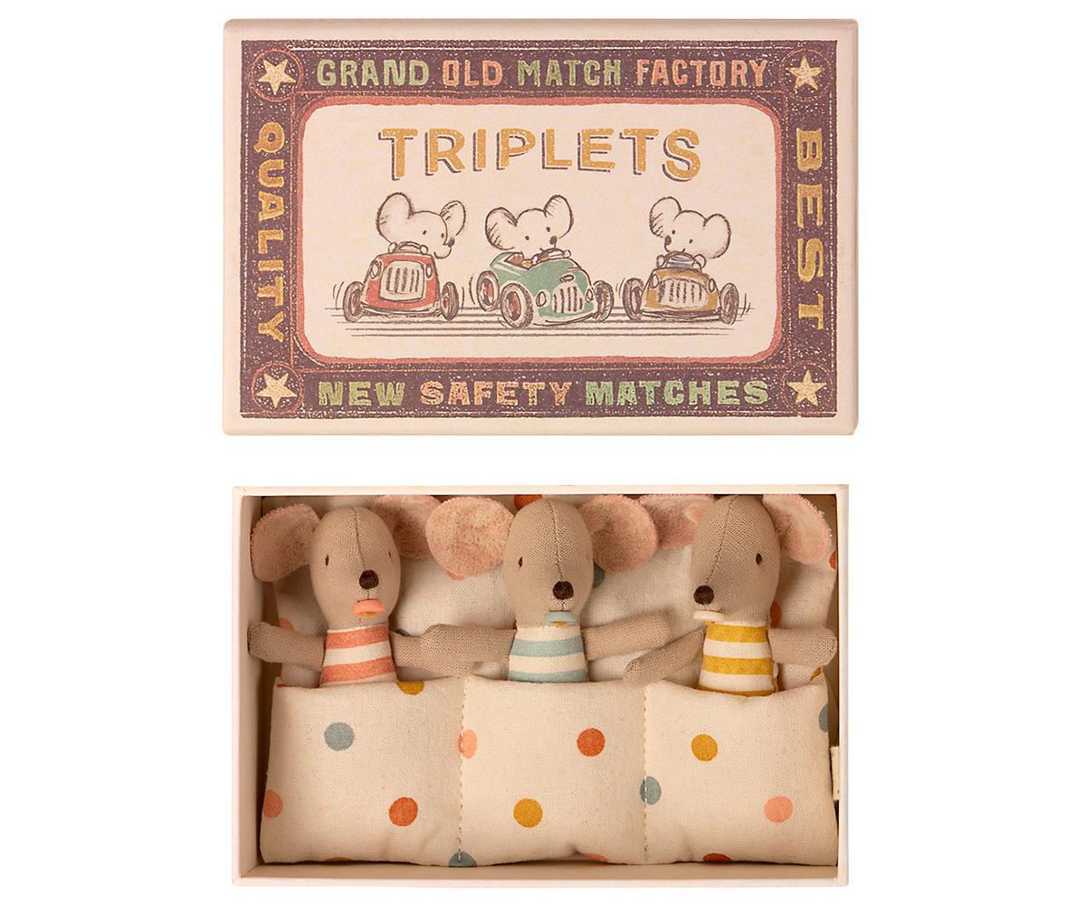 Baby Mice, Triplets in Matchbox
