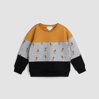 Mighty Kangaroo Color Block Baby Sweatshirt