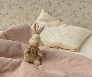 My First Bunny-Brown