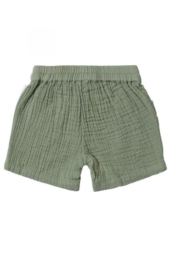 Burnet Shorts - Agave