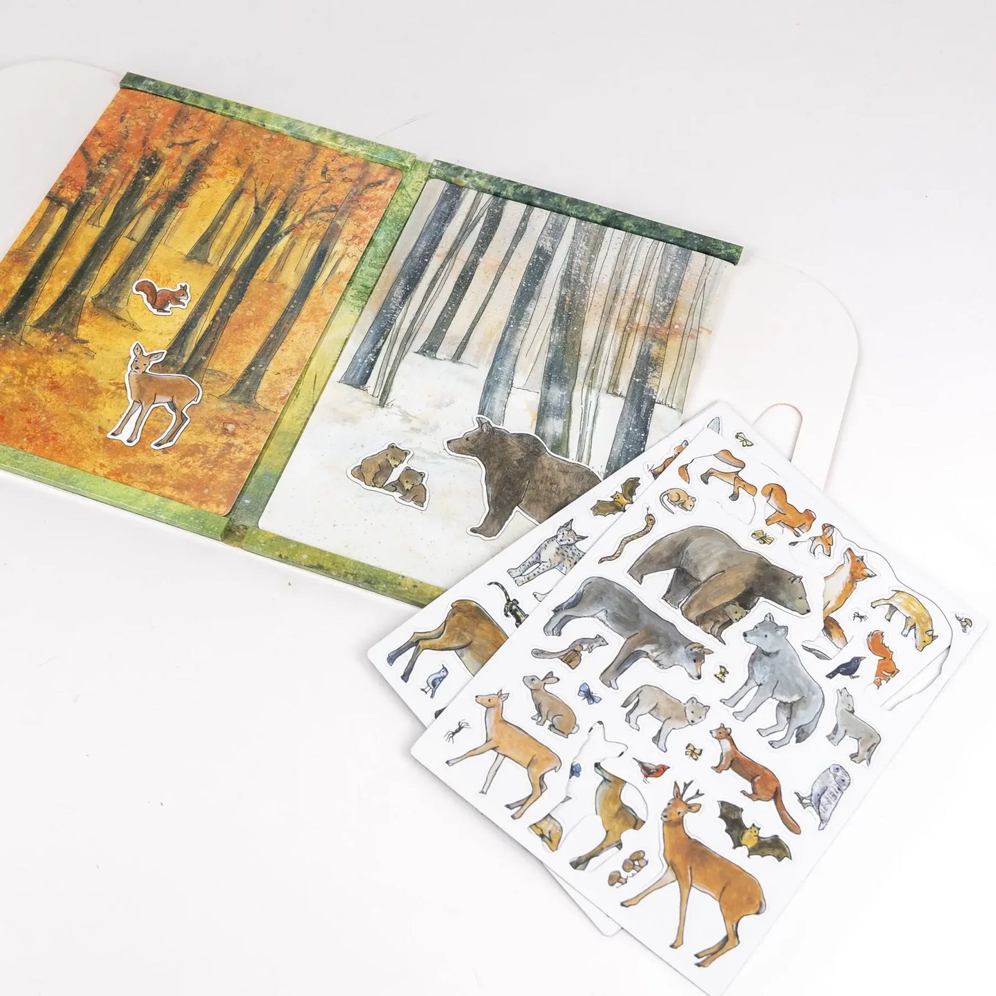 Forest Magnetic Game