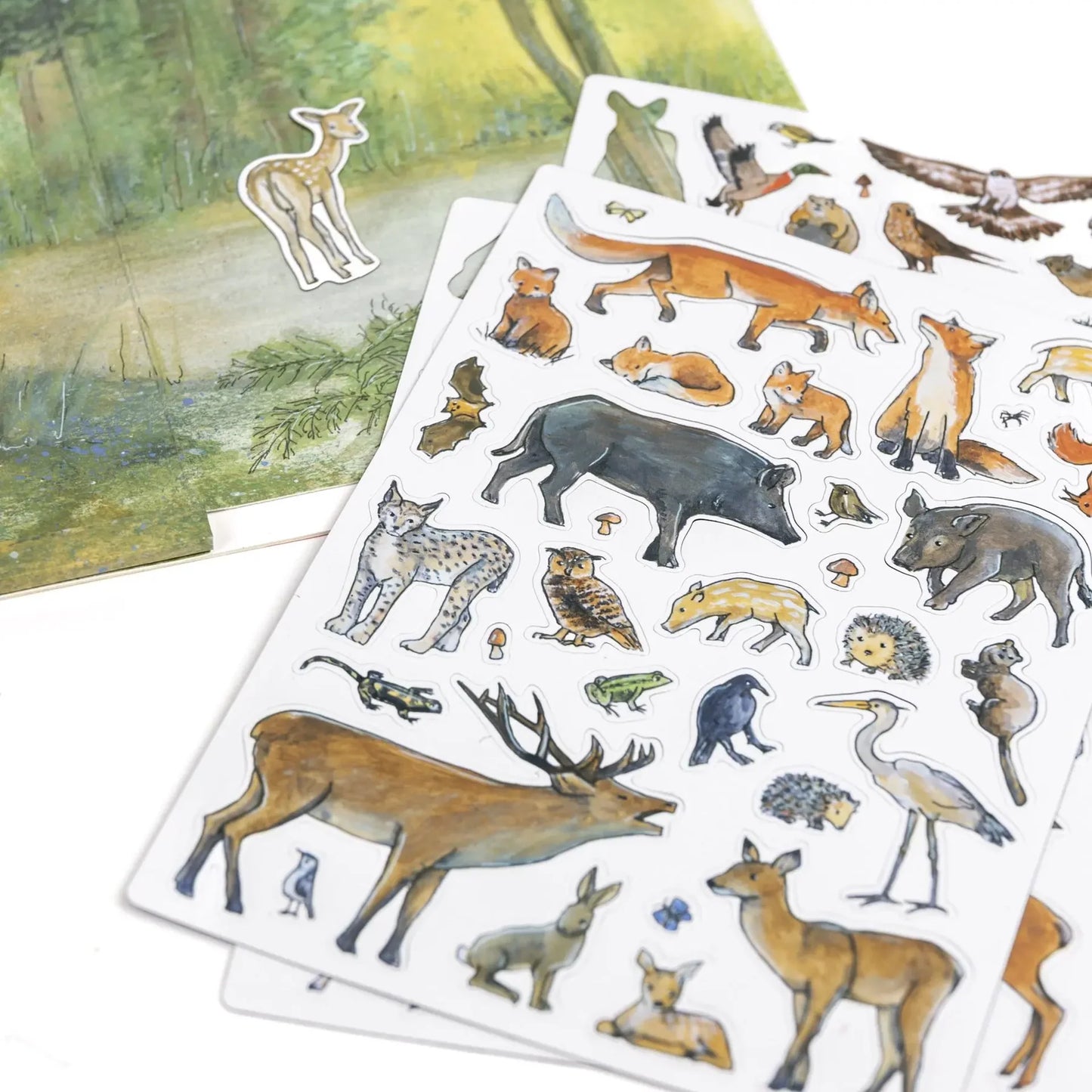 Forest Magnetic Game