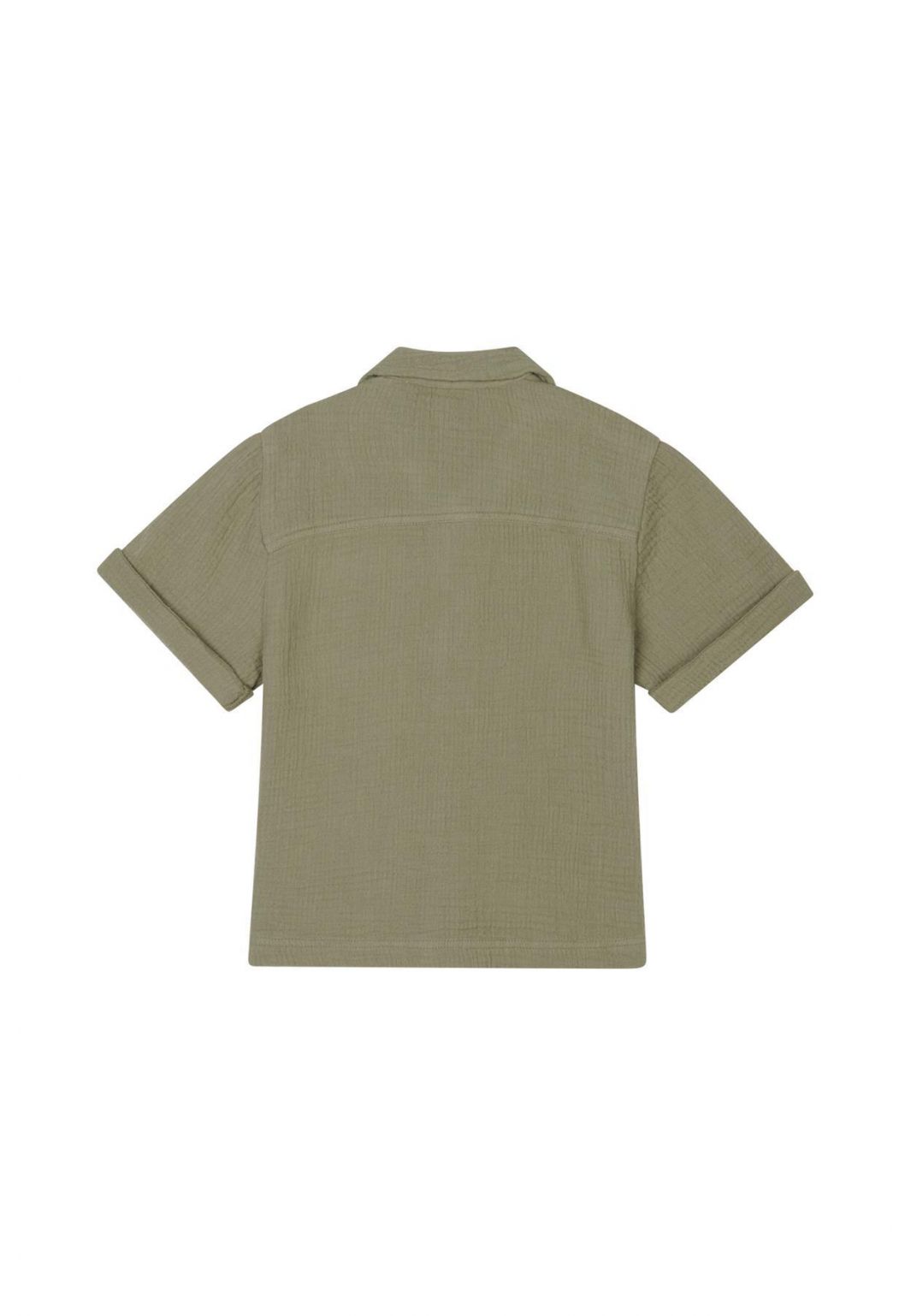 Lavonia Short Sleeve Shirt - Basil