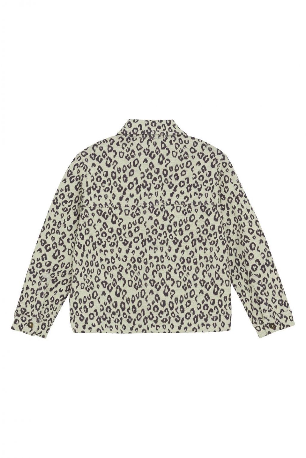 Pasadena Long Sleeve Blouse - Cheetah Print