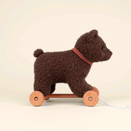 Raoul The Pull-Along Bear