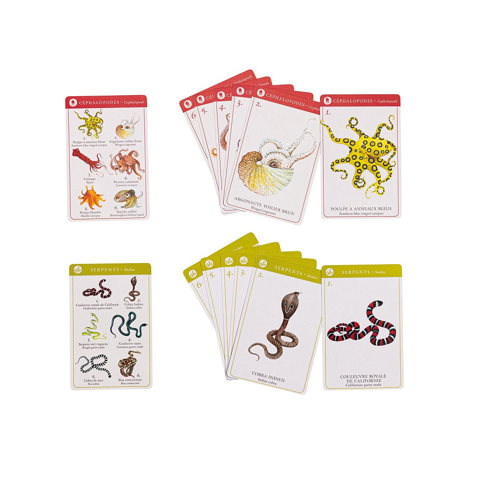 Tout Autour Du Monde - Happy Families Card Game