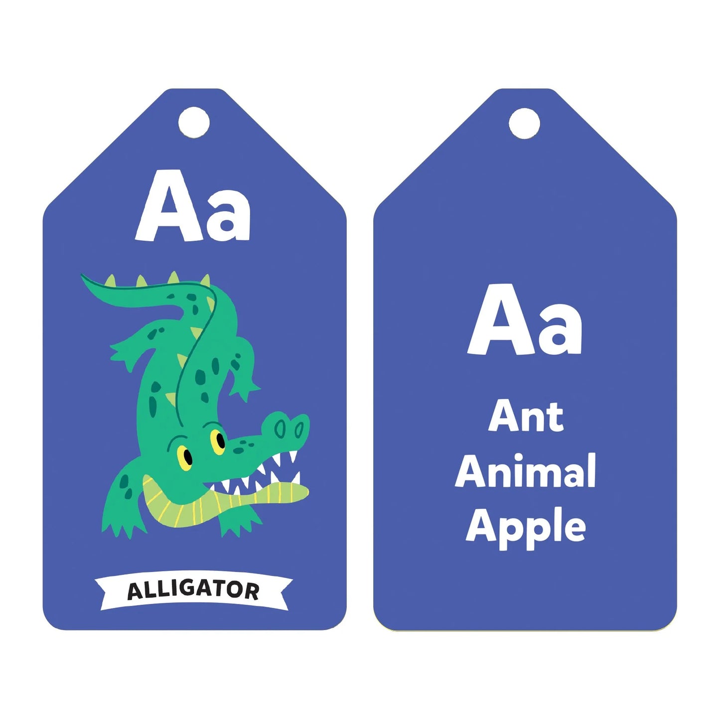Ring Flash Cards - Mudpuppy