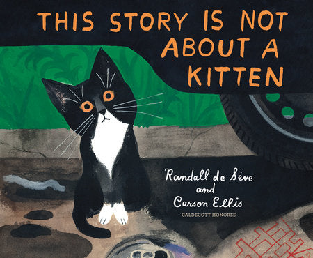 This Story Is Not About a Kitten by Randall de Seve