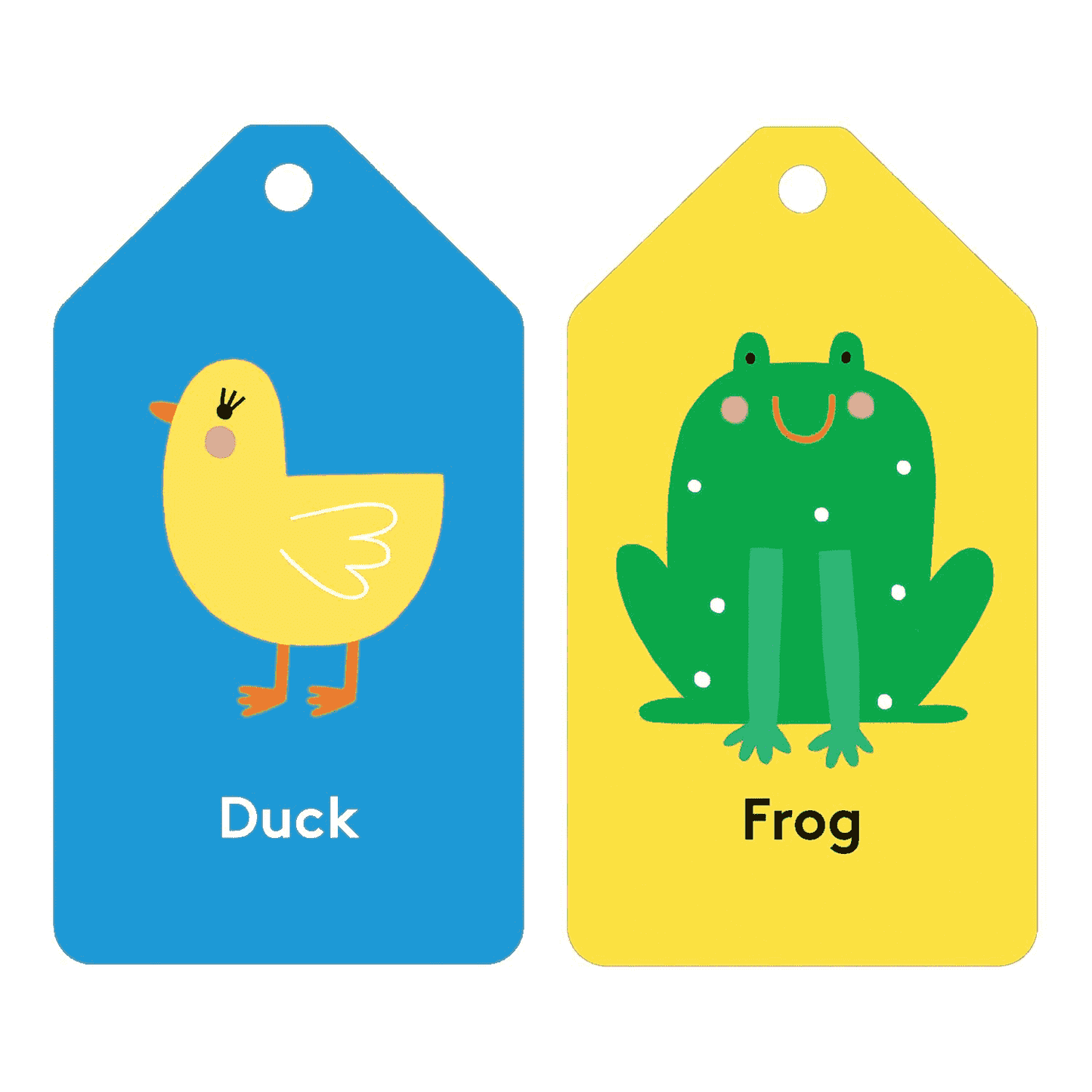 Ring Flash Cards - Mudpuppy