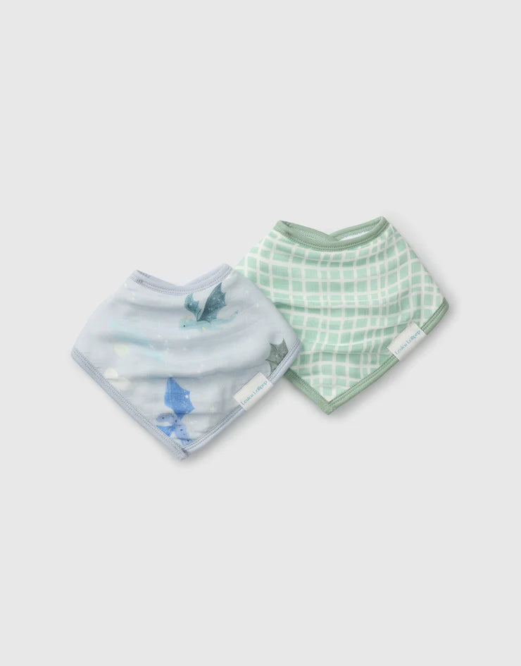 Bandana Bib Set