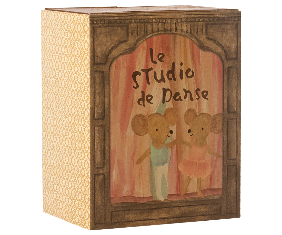 Ballet Mice in Dance Studio - Little Brother + Sister