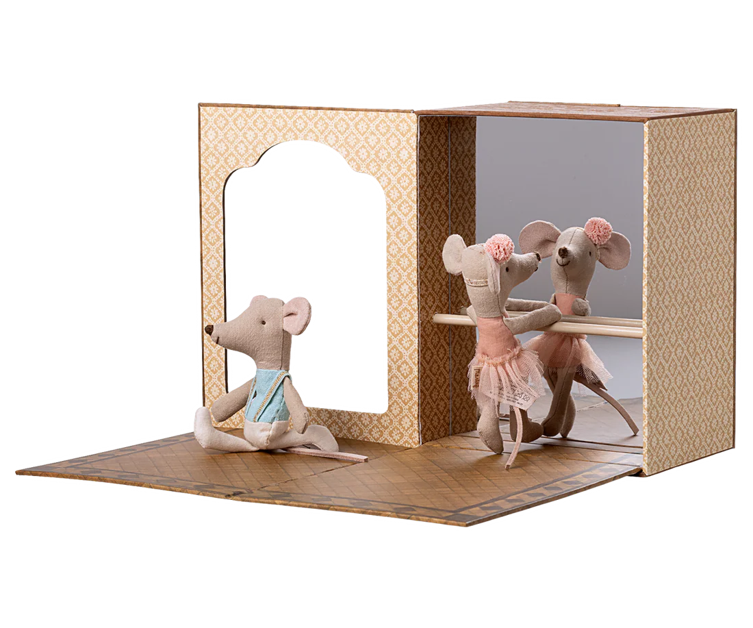 Ballet Mice in Dance Studio - Little Brother + Sister