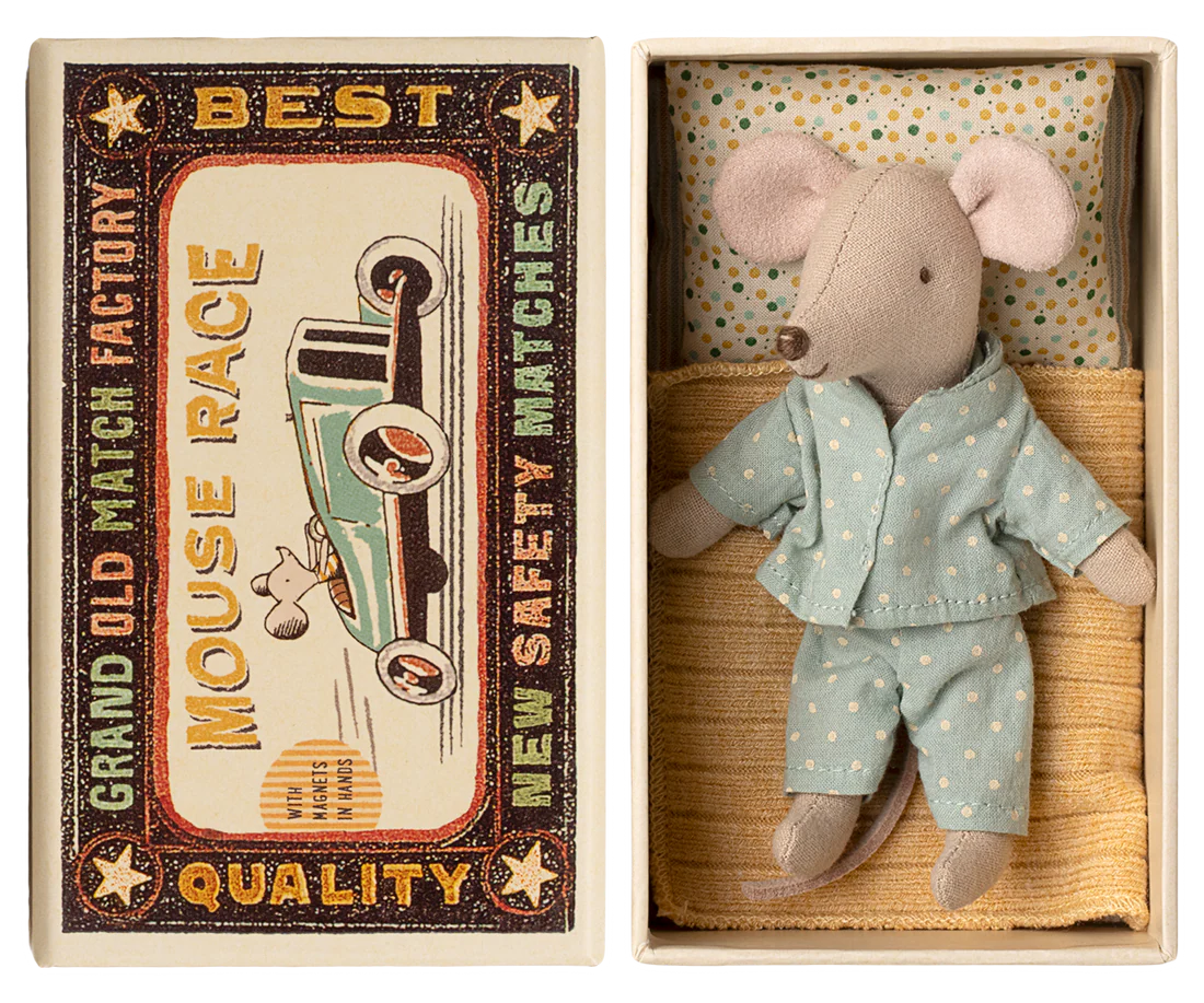 Little Brother Mouse in Box