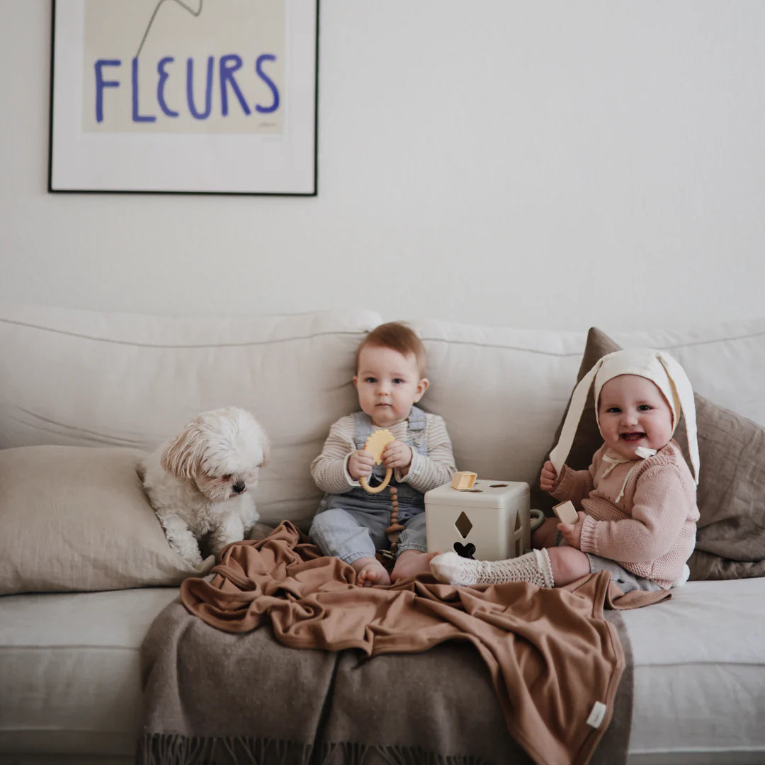 Lion Teether - Mushie