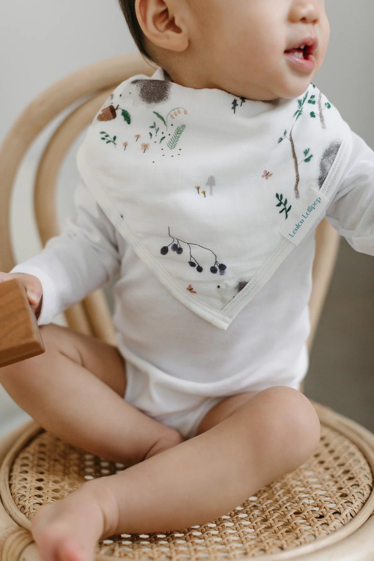 Bandana Bib Set - hedgehog