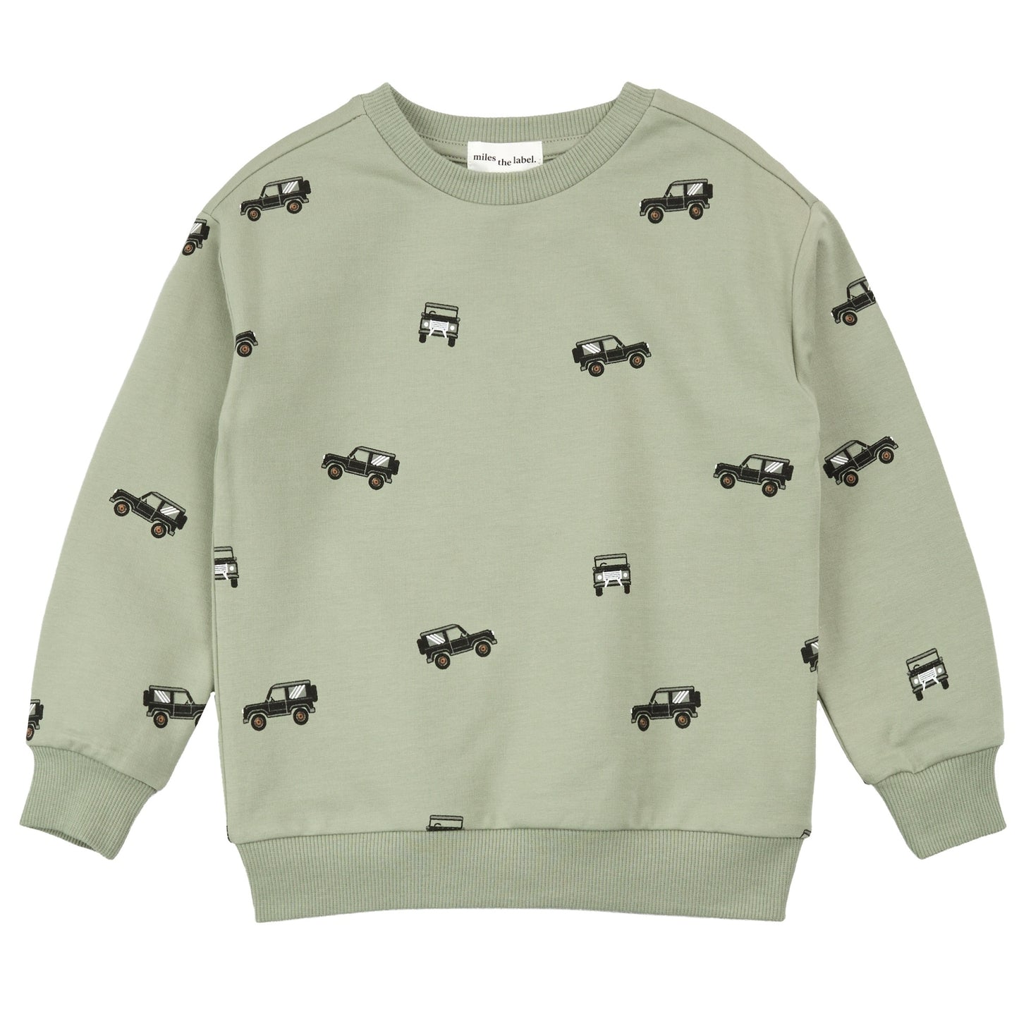 Toddler Sweatshirt Top Knit (25FMW05T01-K)