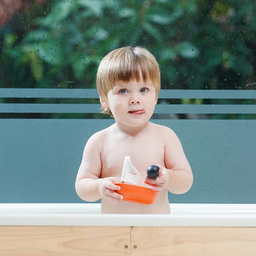 Sailing Boat Penguin