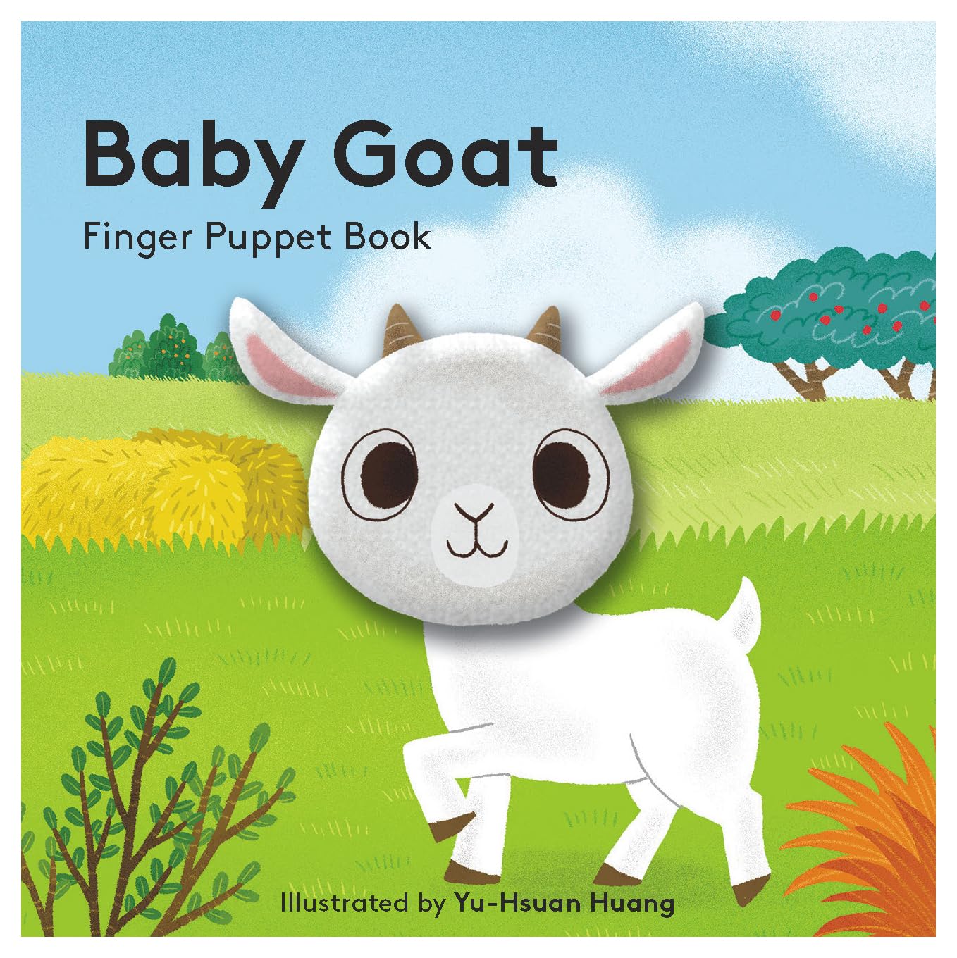 Little Finger Puppet Book