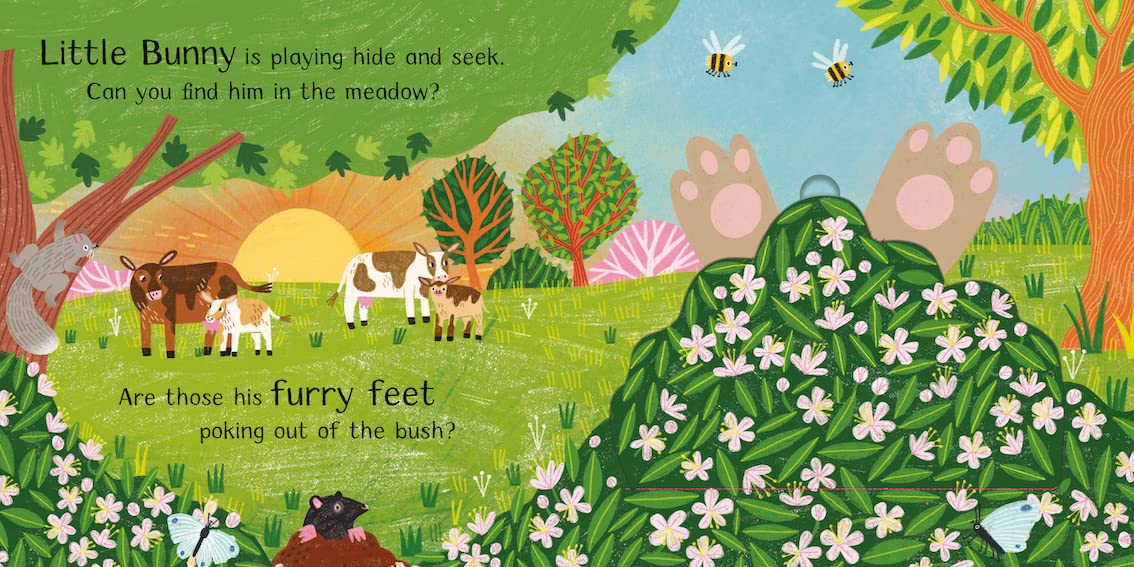 Where Is Little Bunny?