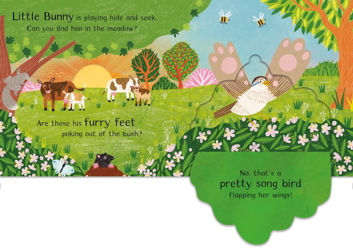 Where Is Little Bunny?