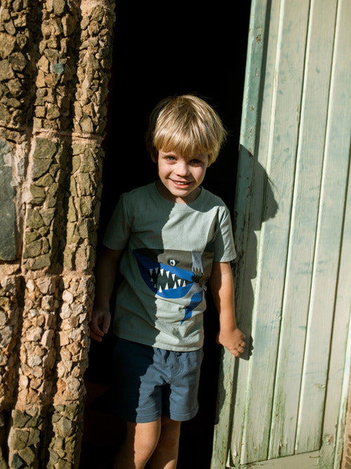 Cubist Shark  Graphic Tee