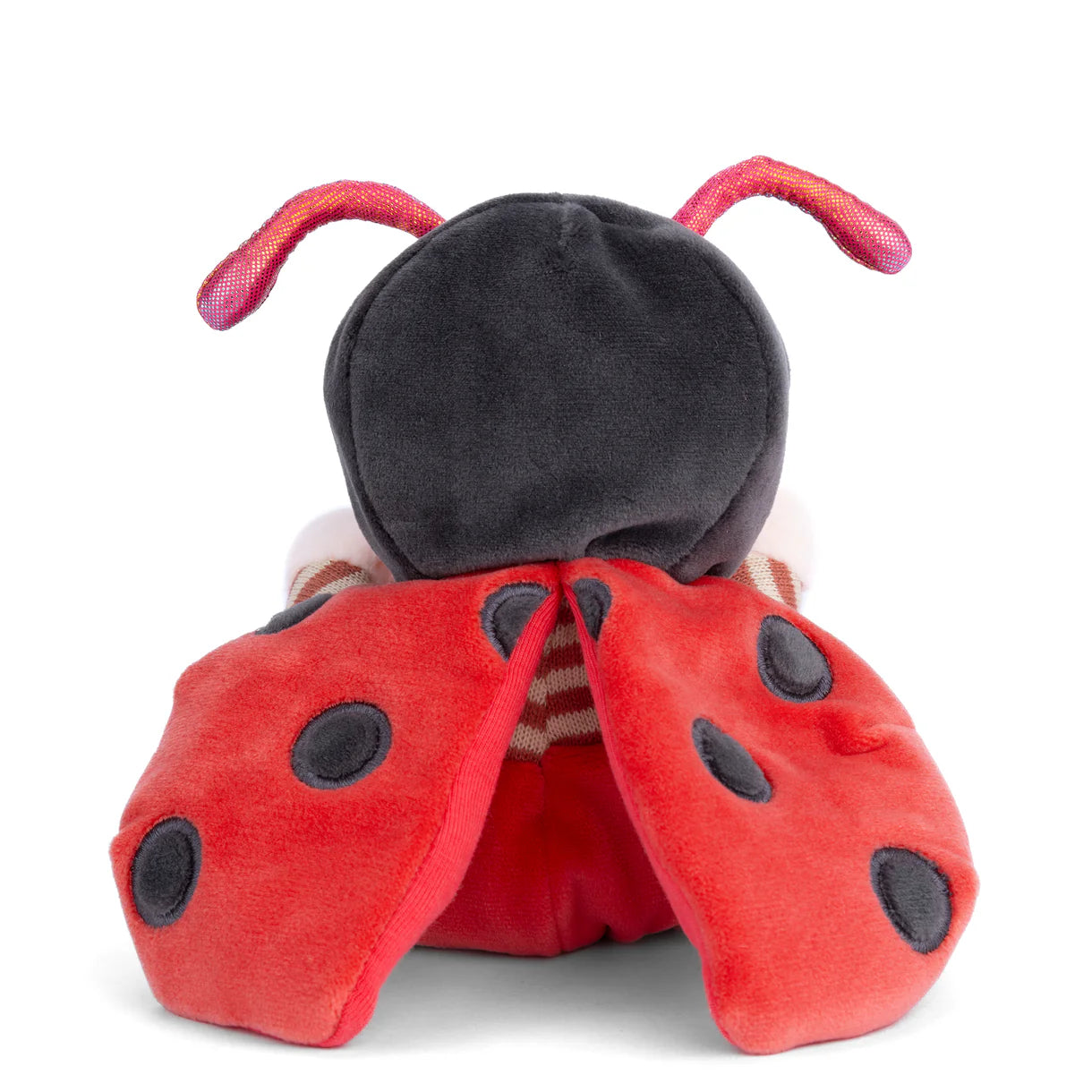 Ziggy- Ladybug