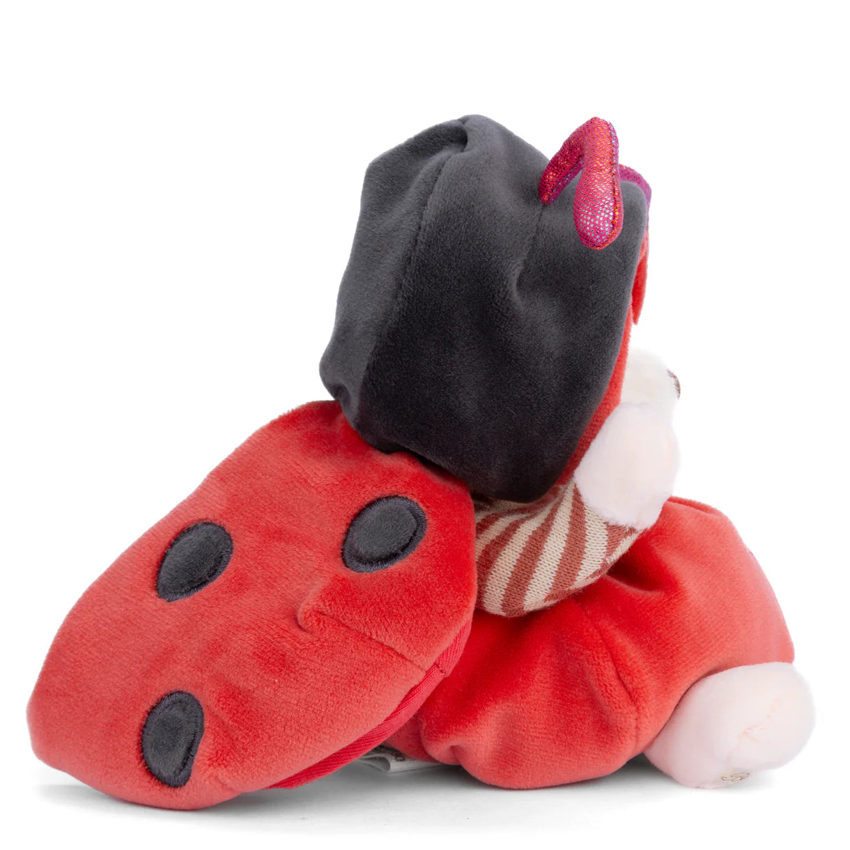 Ziggy- Ladybug
