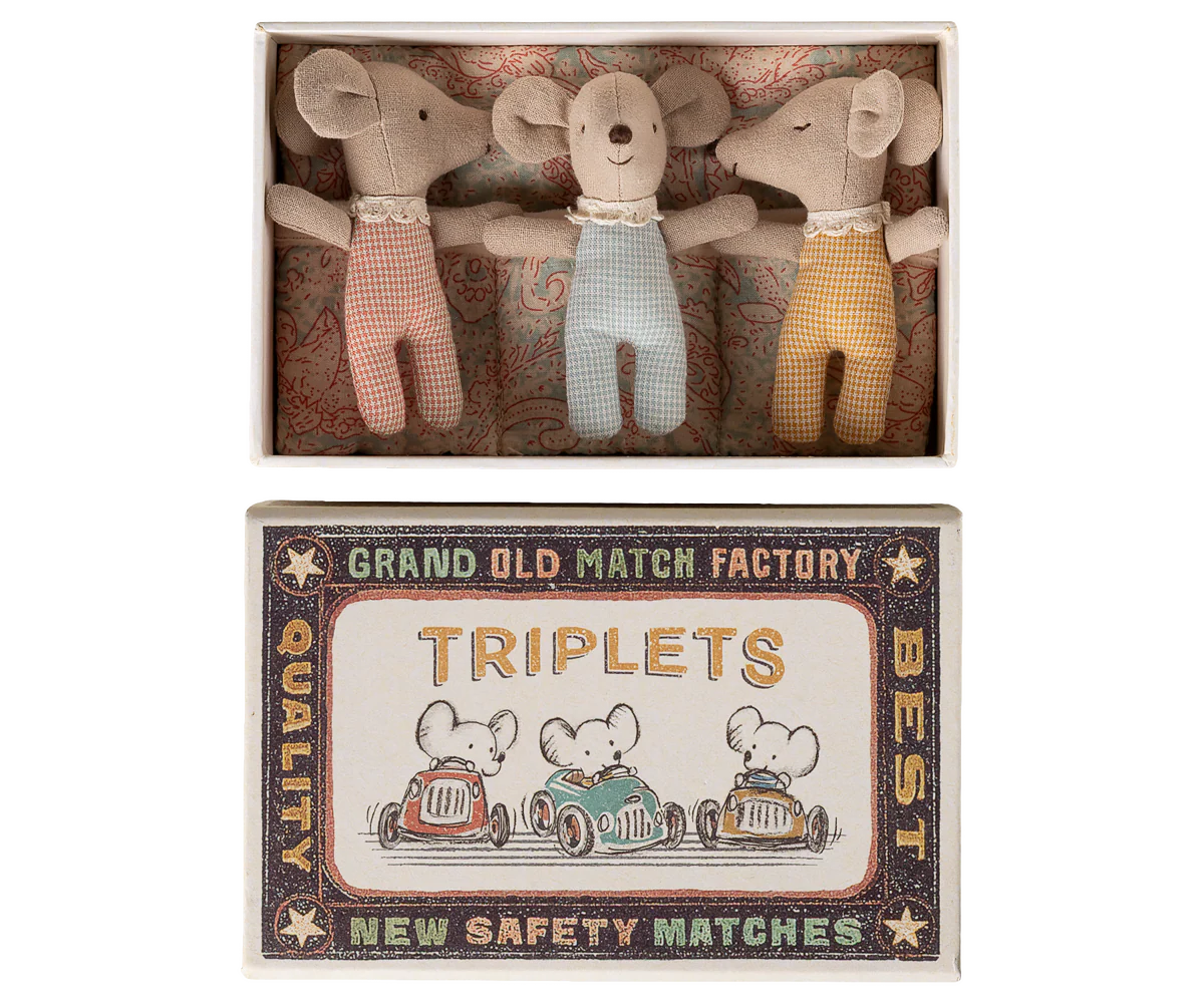 Baby Mice, Triplets in Matchbox