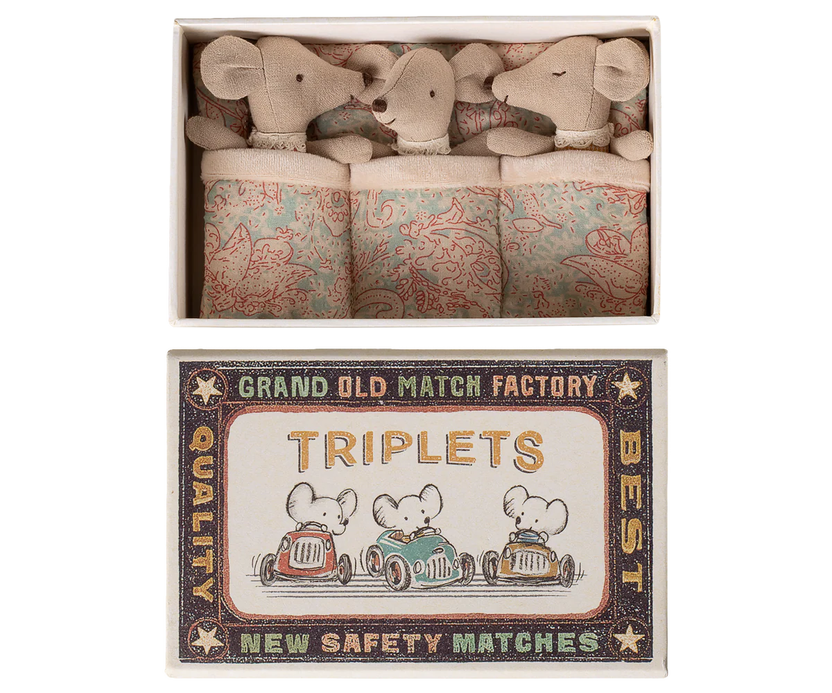 Baby Mice, Triplets in Matchbox