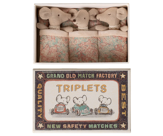 Baby Mice, Triplets in Matchbox