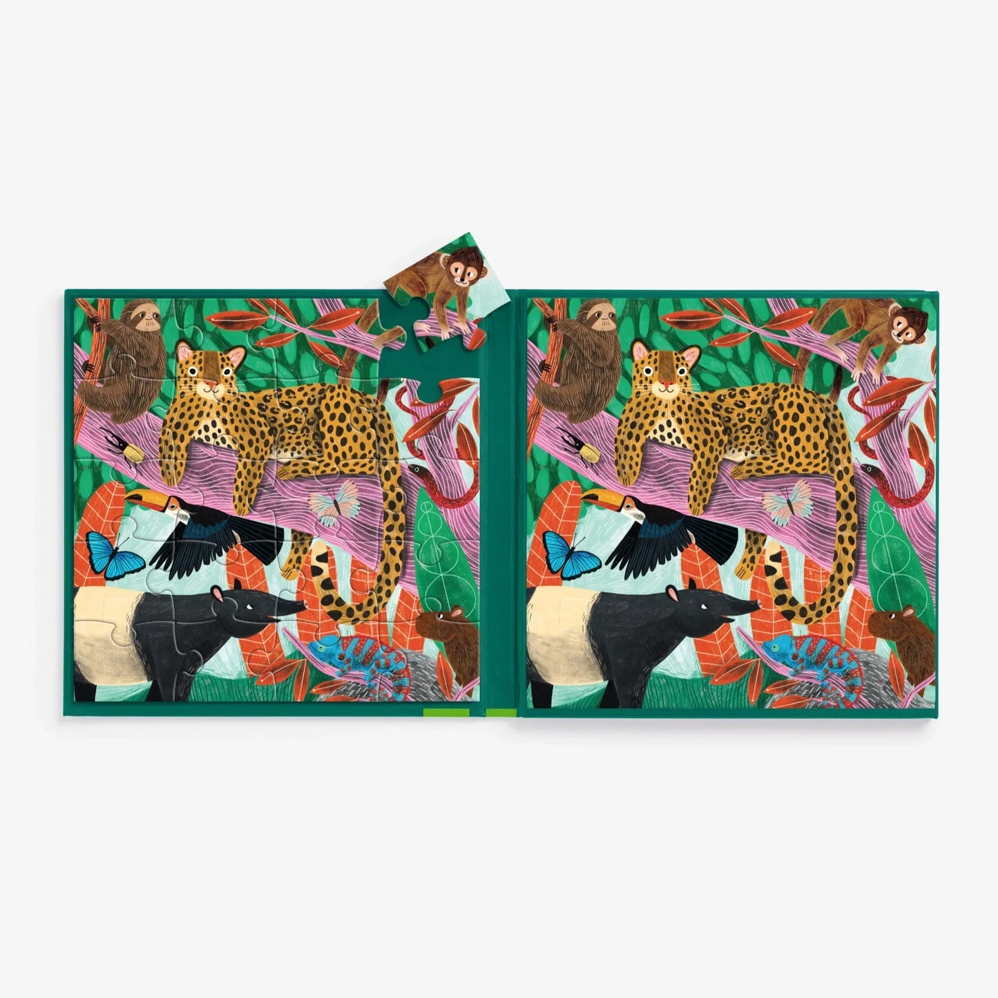 Magnetic Puzzles Set
