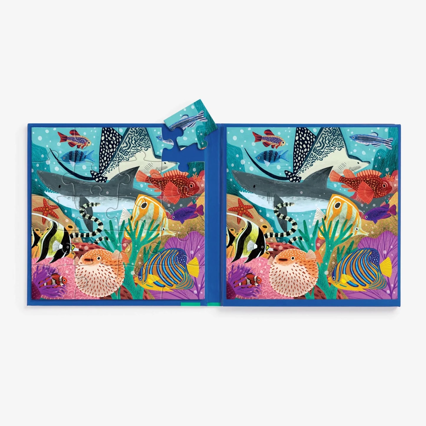 Magnetic Puzzles Set