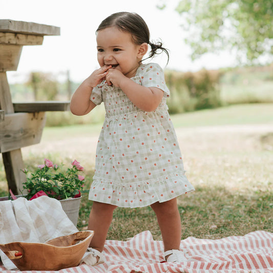 Strawberry Gingham Print Dress Set