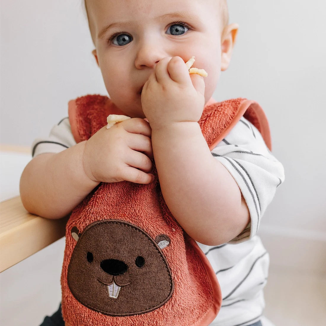 2 Terry bibs set