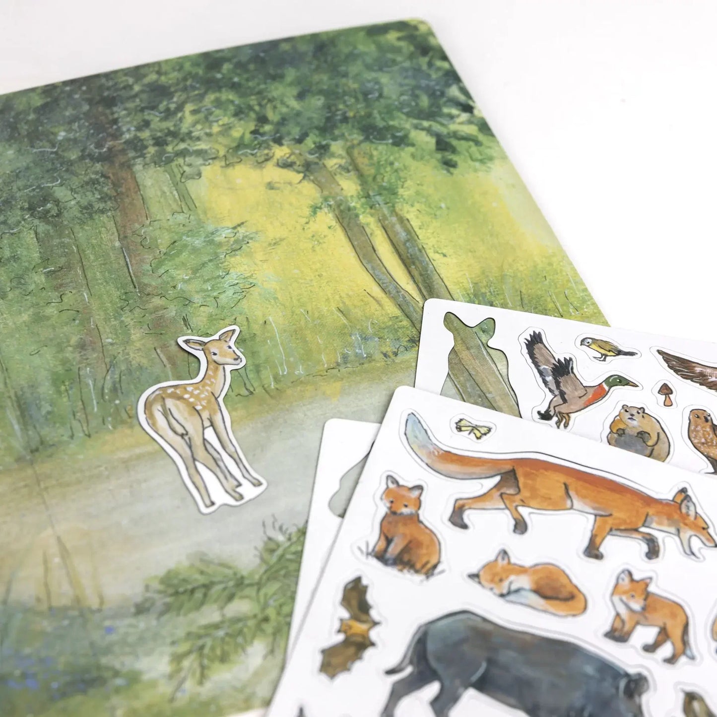 Forest Magnetic Game