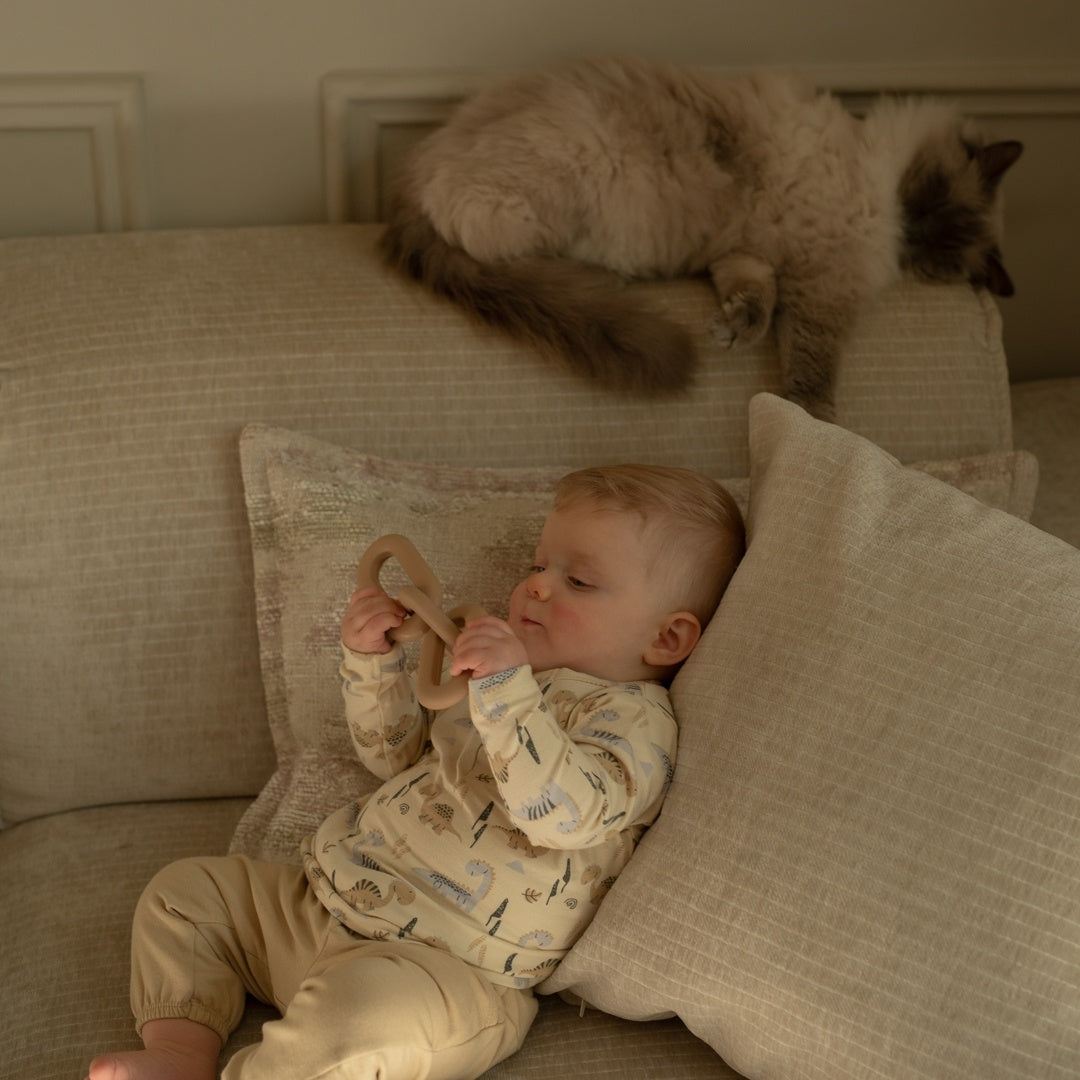 Boy's Top And Jogging Bottom Set - Beige/Dinosaur