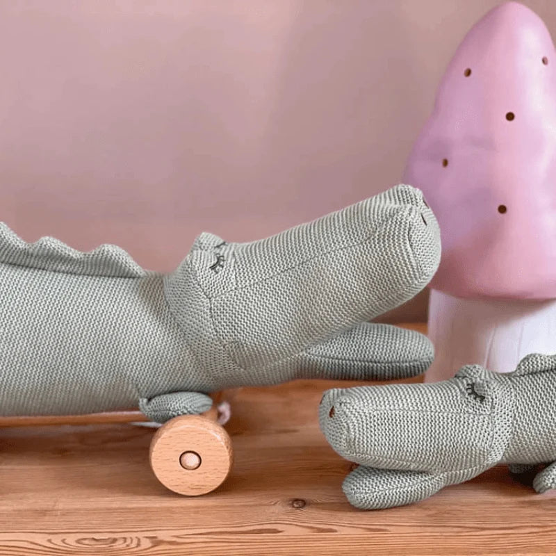 Raoul the Pull-Along Croc