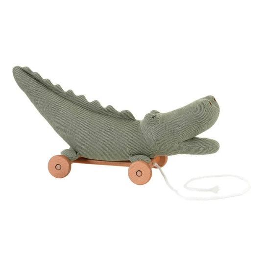 Raoul The Pull-Along Croc